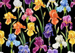 Multicolor floral pattern fabric with large vibrant irises on black background