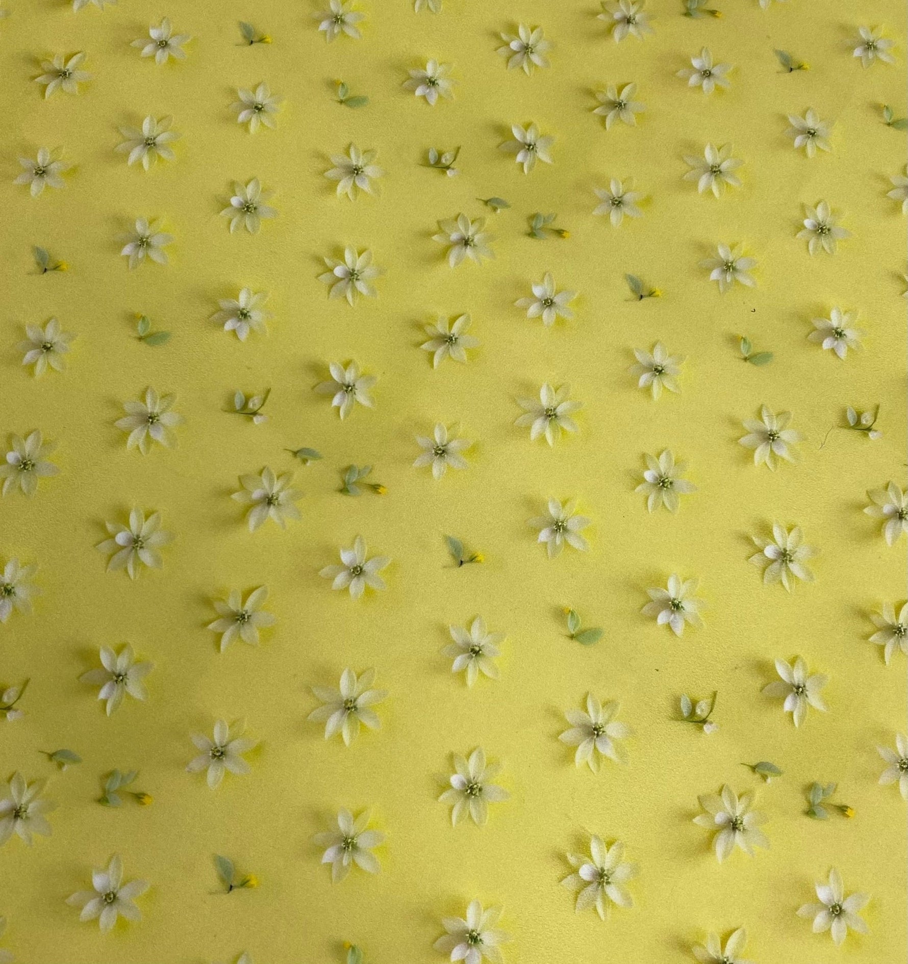 Yellow Floral Fabric – 3D Daisy Embroidered Design - Whotex Fabrics London